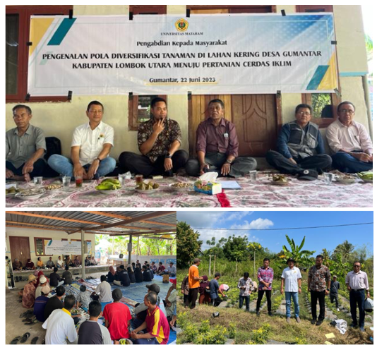 Demplot Diversifikasi Tanaman Fpunram