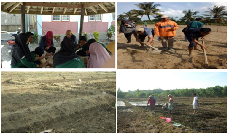 Peningkatan Pendapatan Petani Melalui Penerapan Model Usaha Tani Ekologis