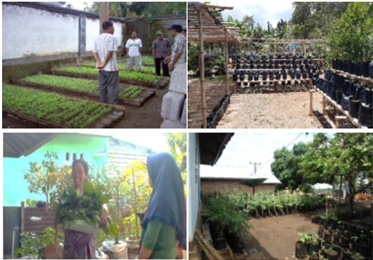 Pendampingan Pengelolaan Pekarangan Kelompok Tani Di Kawasan Lahan Kering Lombok Utara Untuk Kemandirian Pangan Dan Konsumsi “Gizi Seimbang” Rumah Tangga Petani