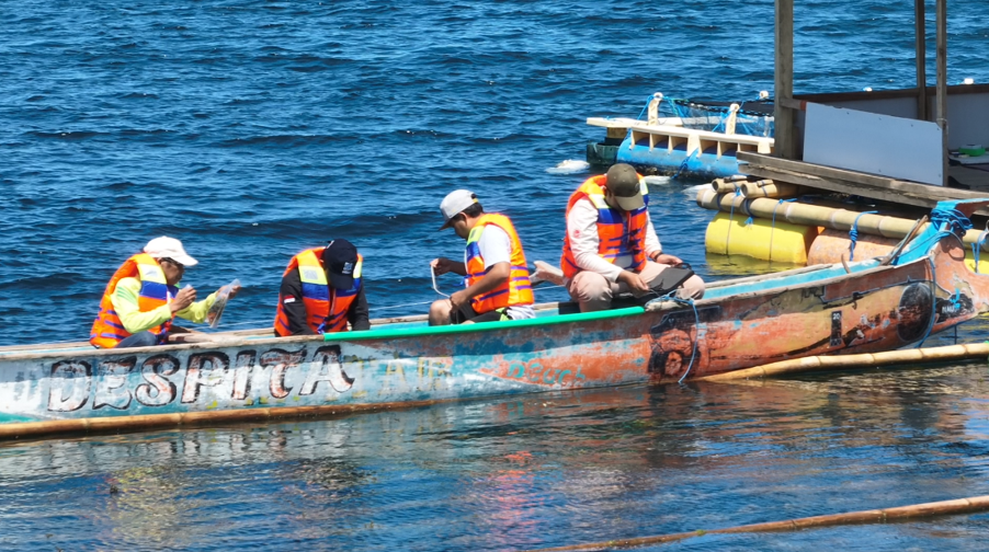 Penilitian Lobster dan Bawal Bintang dalam KJAB, Kerang Abalon serta Rumput Laut Berbasis Ekonomi Biru